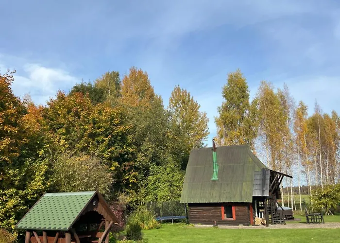 Pirts Namins Zvanini